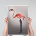 Flamingo with Kinky Boots, Bird Art Print, Wall Art | Print 18x24inch