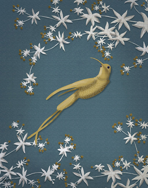 Golden Hummingbird 2, Bird Art Print, Wall Art | FabFunky