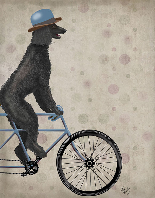 Poodle on Bicycle, Black, Dog Art Print, Wall art | FabFunky