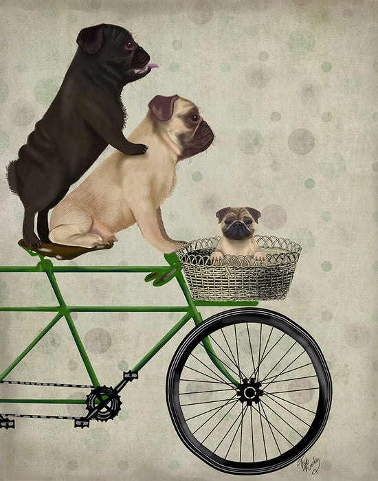 Pugs on Bicycle, Dog Art Print, Wall art | FabFunky