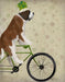 St Bernard on Bicycle, Dog Art Print, Wall art | FabFunky