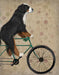 Bernese Mountain Dog On Bicycle, Dog Art Print, Wall art | FabFunky