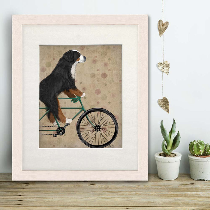 Bernese Mountain Dog On Bicycle, Dog Art Print, Wall art | Print 14x11inch