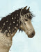 Horse Buckskin with Jewelled Bridle, Animal Art Print | FabFunky