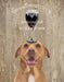 Pit Bull, Dog Au Vin, Dog Art Print, Wall art | FabFunky