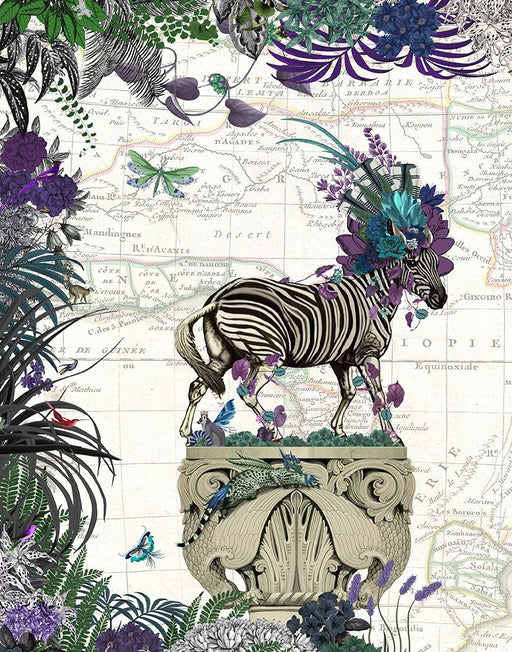 African Zebra, Limited Edition, Fine Art Print | FabFunky