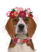 Beagle Flower Headdress, Dog Art Print, Wall art | FabFunky