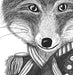 Admiral Fox, Full, Limited Edition Print of drawing | Print 24x36inch