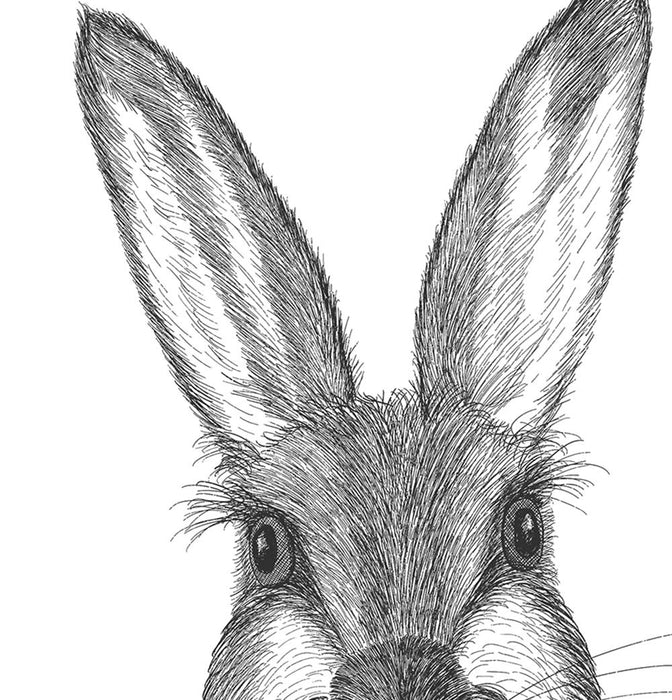 Rafael Rabbit, Limited Edition Print of drawing | Print 24x36inch