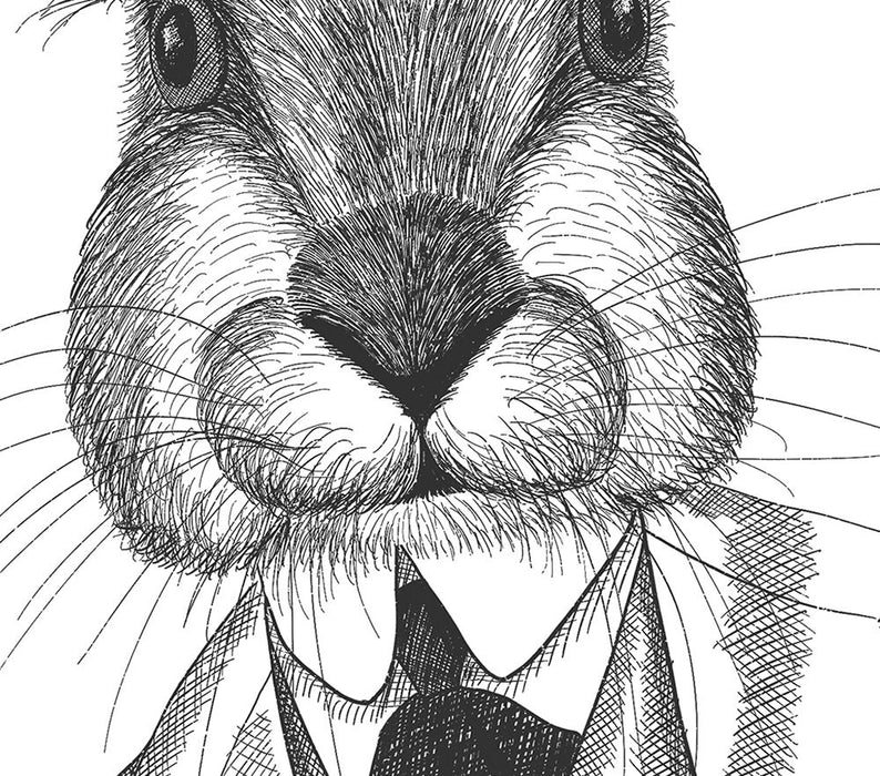 Portrait of Rafael Rabbit, Limited Edition Print of drawing | Print 24x36inch