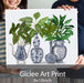 Chinoiserie Vase Group 2, Art Print | Canvas 11x14inch