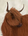 Highland Cow 2, Portrait, Animal Art Print | FabFunky