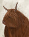 Highland Cow 4, Portrait, Animal Art Print | FabFunky