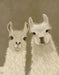 Llama Duo, Looking at You, Art Print, Canvas Wall Art | FabFunky
