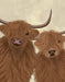 Highland Cow Duo, Looking at You, Animal Art Print | FabFunky