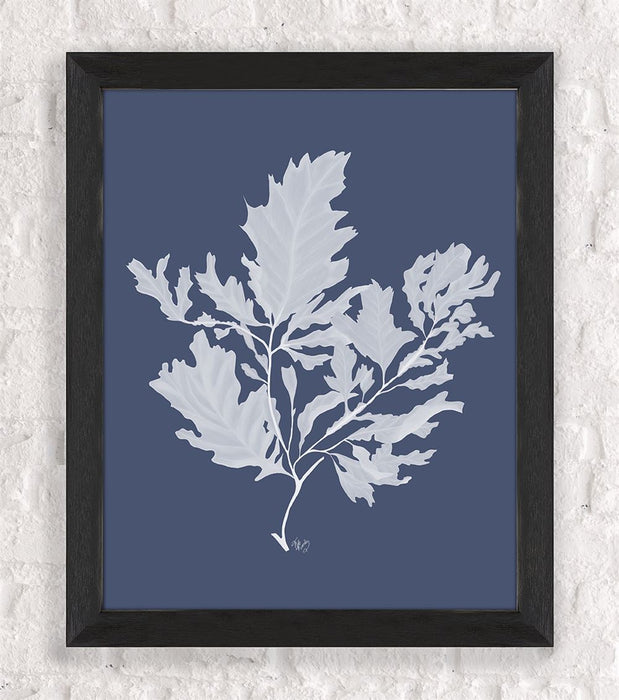Kelp 1 White on Indigo Blue, Nautical print, Coastal art