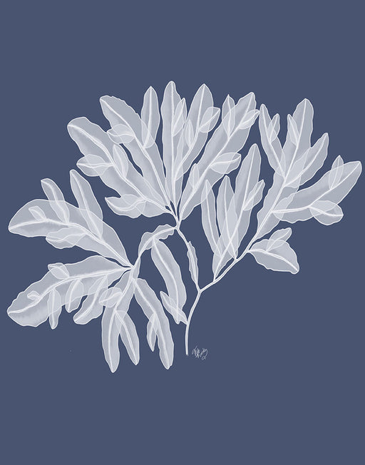 Seaweed 4 White on Indigo Blue