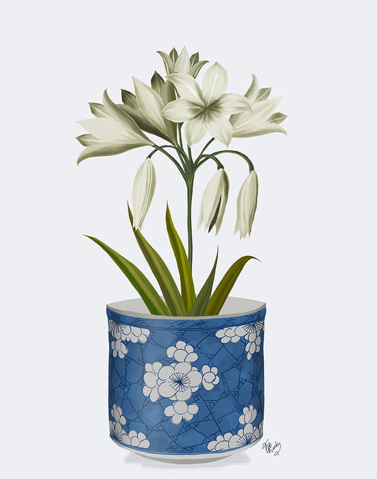 Chinoiserie Amaryllis White, Blue Vase, Art Print | FabFunky