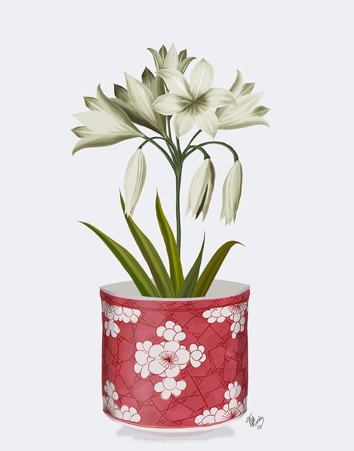 Chinoiserie Amaryllis White, Red Vase, Art Print | FabFunky