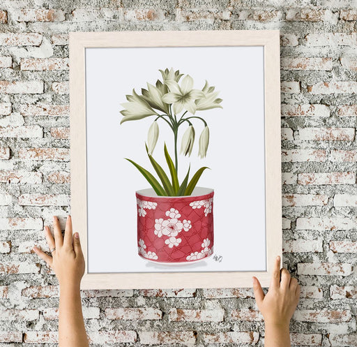 Chinoiserie Amaryllis White, Red Vase, Art Print | Print 14x11inch