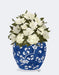 Chinoiserie Magnolias White, Blue Vase, Art Print | FabFunky
