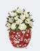 Chinoiserie Magnolias White, Red Vase, Art Print | FabFunky