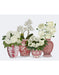 Chinoiserie Flower Quartet 1, Red, Art Print | FabFunky