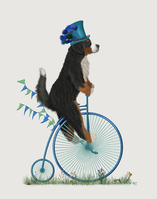 Bernese on Penny Farthing, Dog Art Print, Wall art | FabFunky