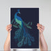 Peacock with Doodle Tail on Blue , Art Print, Wall Art | Print 18x24inch