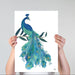 Peacock with Doodle Tail on White , Art Print, Wall Art | Print 18x24inch
