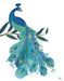 Peacock with Doodle Tail on White , Art Print, Wall Art | FabFunky