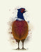 Pheasant Splash 3, Art Print, Canvas, Wall Art | FabFunky