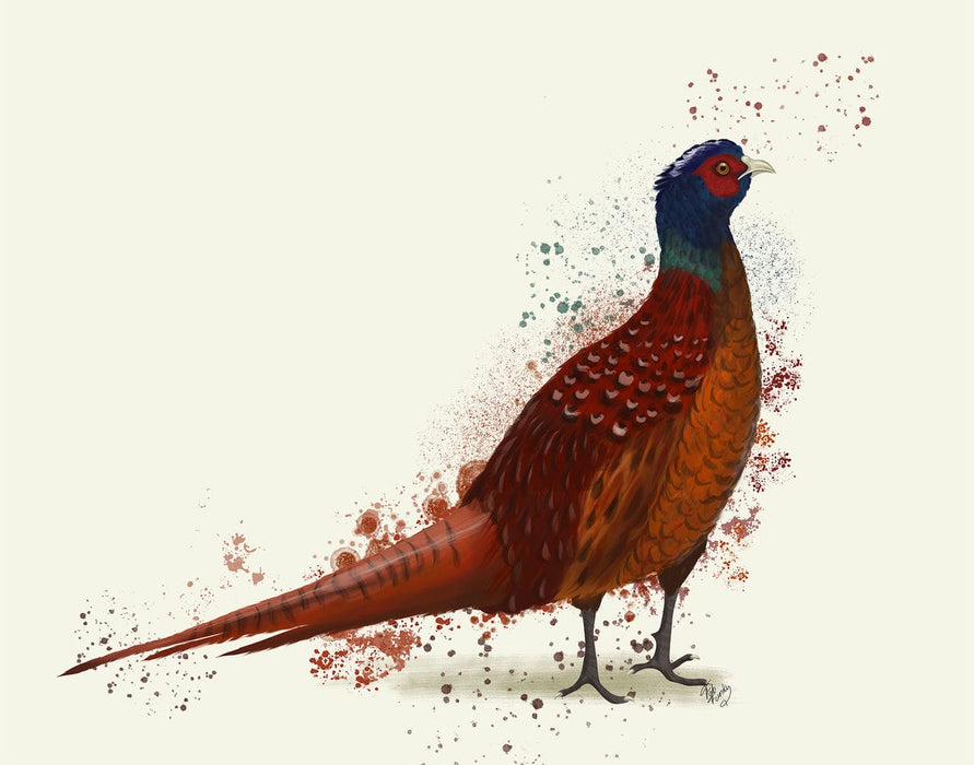 Pheasant Splash 4, Art Print, Canvas, Wall Art | FabFunky