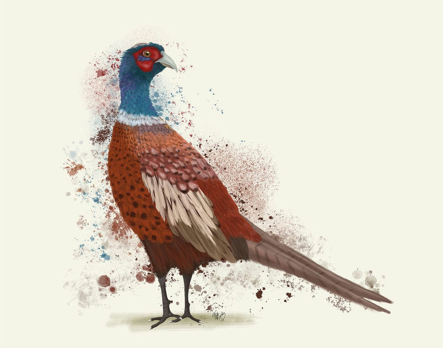 Pheasant Splash 5, Art Print, Canvas, Wall Art | FabFunky