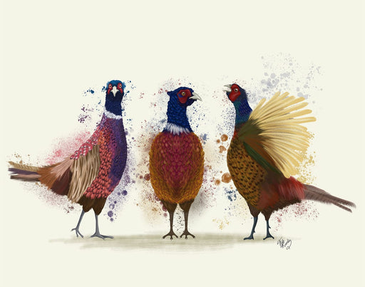Pheasant Trio, Art Print, Canvas, Wall Art | FabFunky