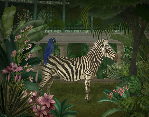 Zebra In Conservatory, Art Print, Canvas, Wall Art | FabFunky