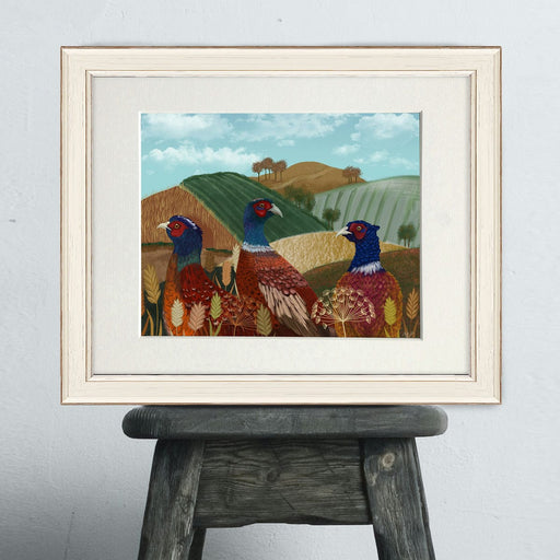 Pheasant Trio in Field, Art Print, Canvas, Wall Art | Print 14x11inch