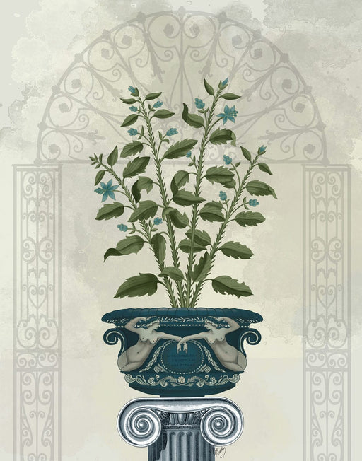 Classsical Botanicals 6, Art Print, Canvas Wall Art | FabFunky