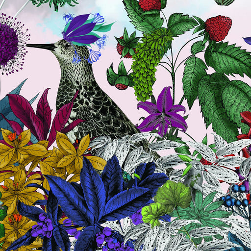 Glorious Plumes 1 Limited Edition, Fine Art Print