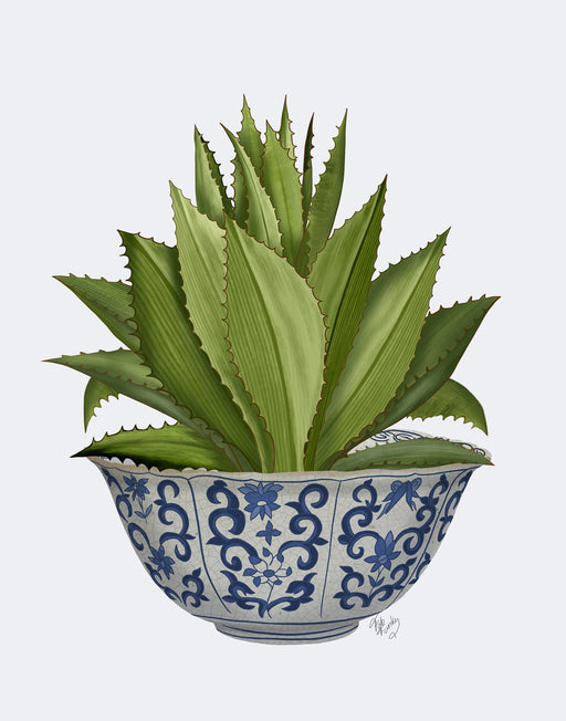 Chinoiserie Bowl with Succulent 1,  Art Print, Canvas art | FabFunky