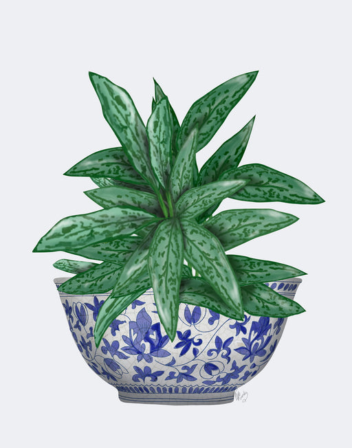 Blue Chinoiserie Bowl with Chinese Evergreen, Art Print, Canvas art | FabFunky