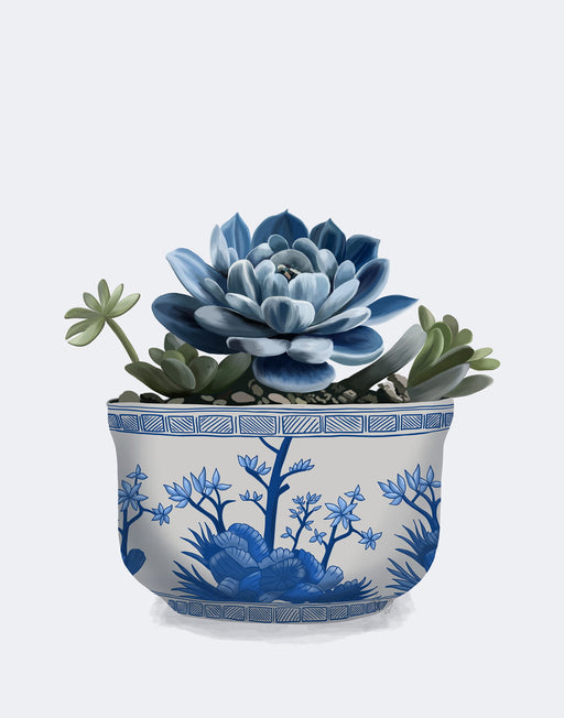 Echeveria in Blue 3, Chinoiserie Art Print, Canvas art | FabFunky