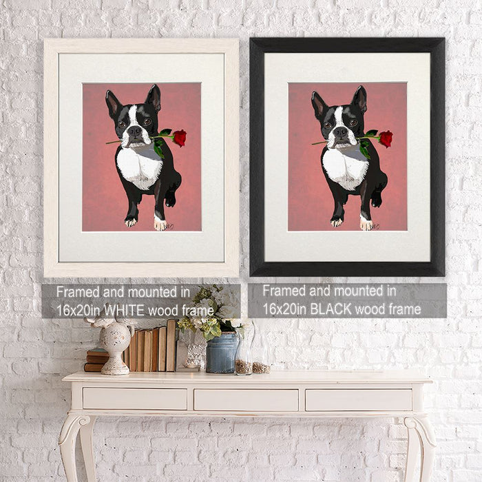 Boston Terrier with Rose in Mouth, Dog Art Print, Wall art | Canvas 11x14inch