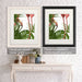 Flamingo Peering, Bird Art Print, Wall Art | Framed White