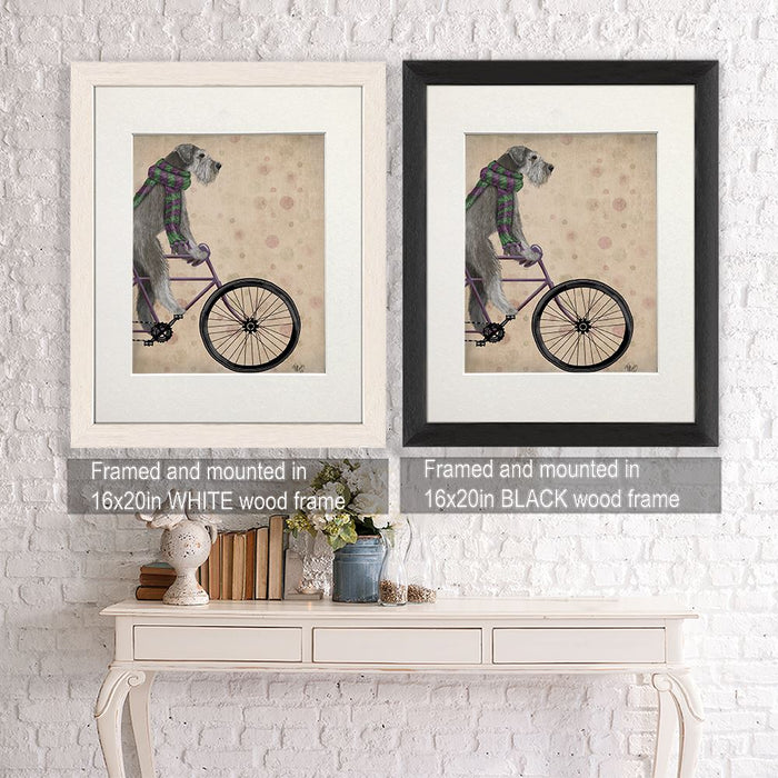 Schnauzer on Bicycle, Grey, Dog Art Print, Wall art | Framed Black