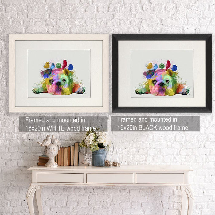 English Bulldog and Birds, Rainbow Splash, Dog Art Print, Wall art | Framed Black