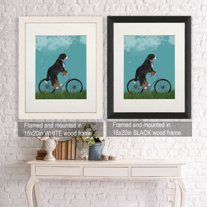 Bernese on Bicycle - Sky, Dog Art Print, Wall art