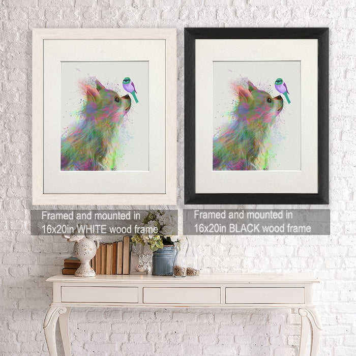 Chihuahua, Long Haired, Rainbow Splash, Dog Art Print, Wall art | Framed Black