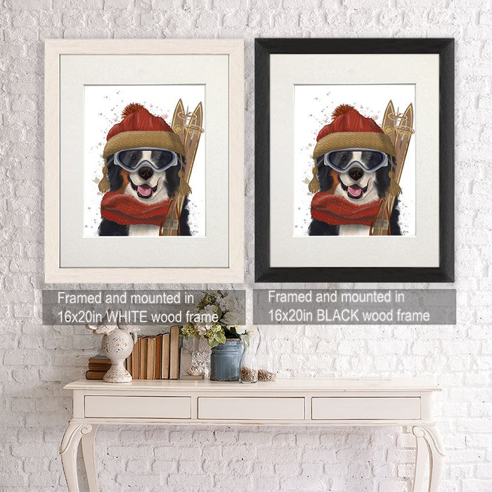 Bernese Ski Dog, Dog Art Print, Wall art | Framed Black