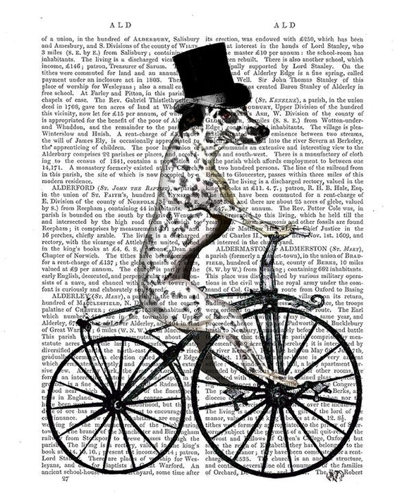Dalmatian on Bicycle, Book Print, Dog Art Print, Wall Art